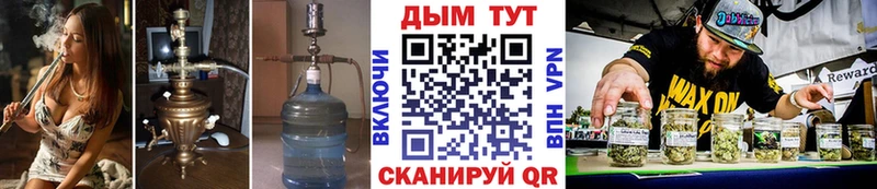 Все наркотики Киреевск Псилоцибиновые грибы СОЛЬ Конопля АМФ МЕФ КОКАИН