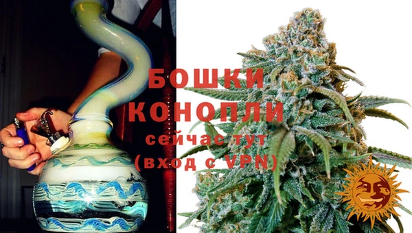 ПСИЛОЦИБИНОВЫЕ ГРИБЫ Бугульма
