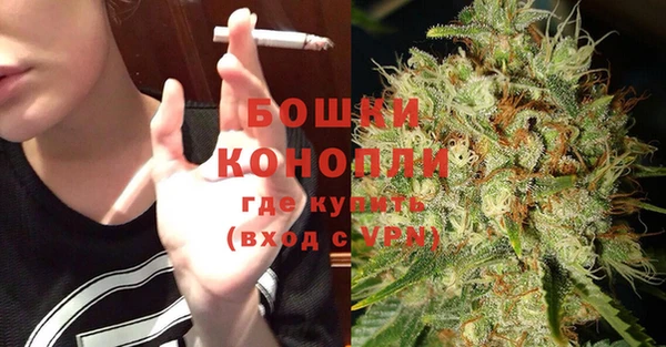 эйфоретик Бородино