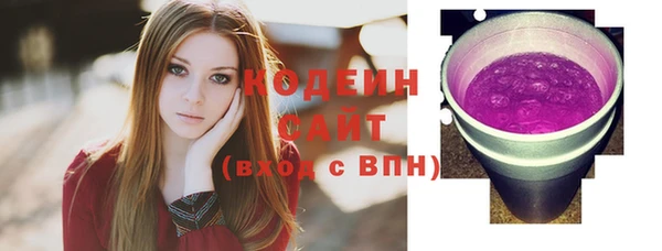эйфоретик Бородино
