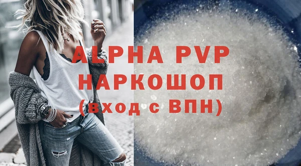 эйфоретик Бородино