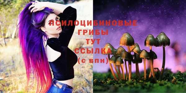 эйфоретик Бородино