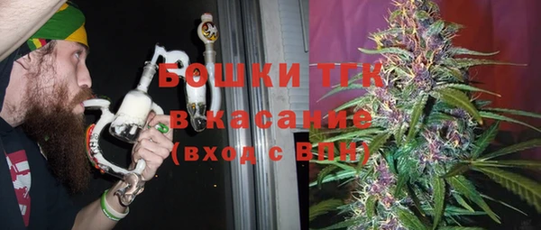 эйфоретик Бородино