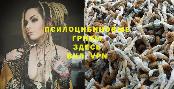 ГАЛЛЮЦИНОГЕННЫЕ ГРИБЫ Бронницы