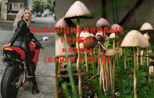 ГАЛЛЮЦИНОГЕННЫЕ ГРИБЫ Бронницы