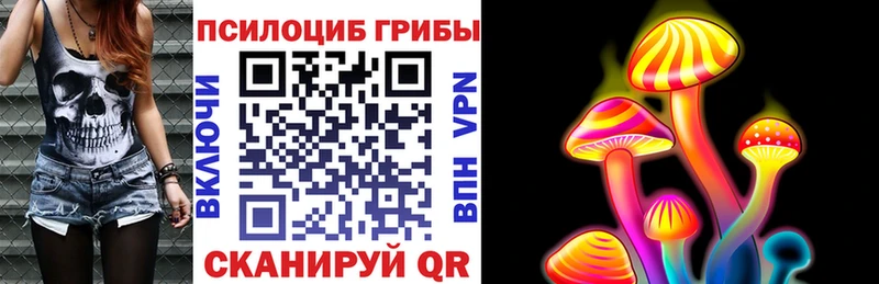 Псилоцибиновые грибы MAGIC MUSHROOMS где купить наркотик Киреевск